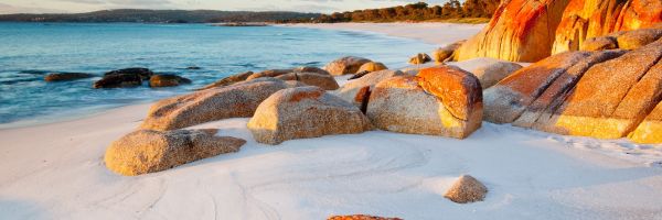 Tasmania Header Banner
