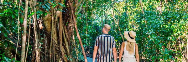 Couple walking past tall, winding trees along a wooden footpath