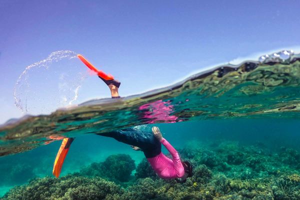 Scuba diver investigating coral in clear ocean water