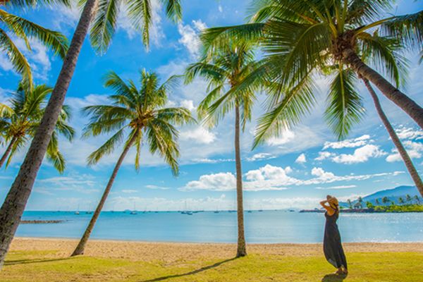 Lady standing under palm trees