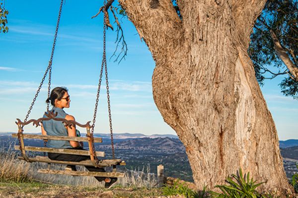 lady on a tree swing overlooking town in albury nsw