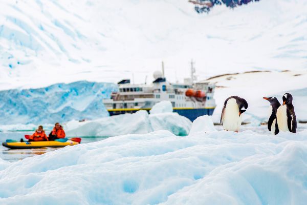 Cruise ship, expedition boat and penguins