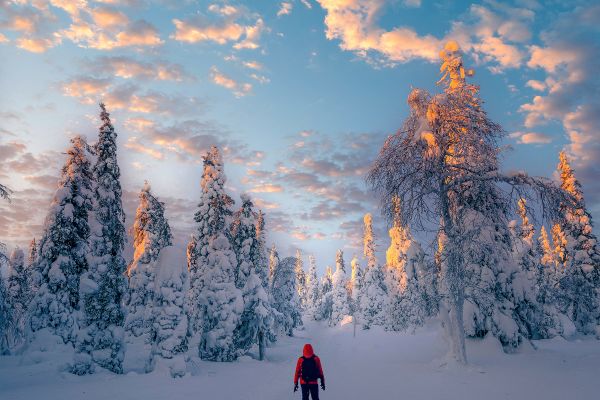 Surrounded by snow-covered trees