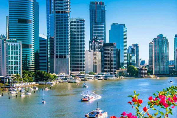 Brisbane city with a view of the river, framed by pink-red flowers