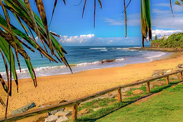 Vibrant beach framed by green and brown leaves