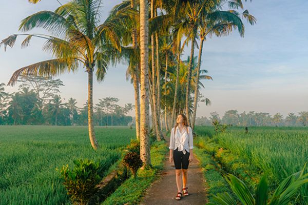 lady walking along path running through rice paddy