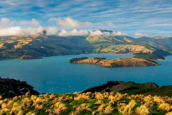 busy street with tram running through it christchurch