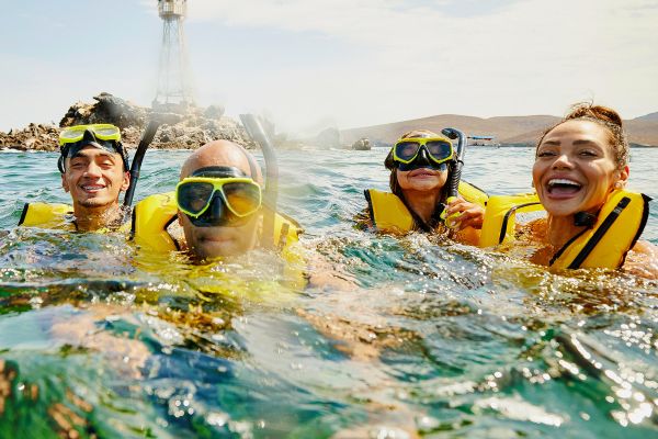 Group of people snorkelling