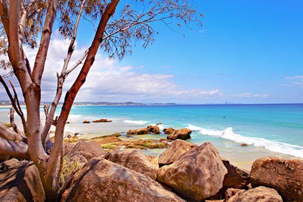 Beach framed by rocks and a large, thin tree
