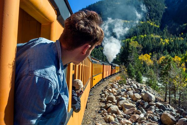 People leaning out of a yellow train steaming through a forest