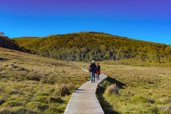 People walking along a narrow wooden path through a grassy field