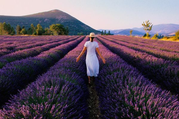 Woman in a white dressing walking through fields of purple flowers