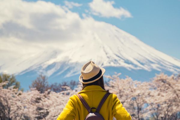 Person in kimono holding a spiral parasol walking through cherry blossoms