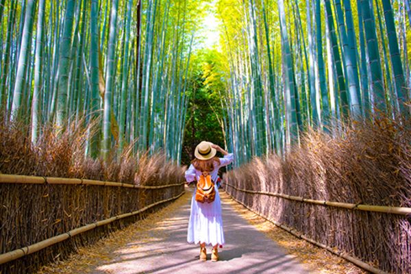 lady walking through bamboo forest in kyoto