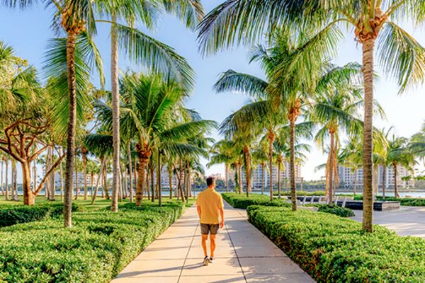 Man walking down a pathway lined with palm trees and shrubs