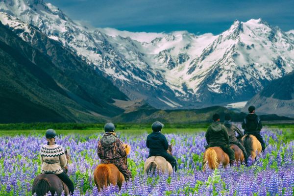 People riding horses through a field of purple flowers with snowy mountains in the distance