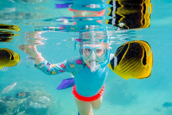 Child snorkelling looking at black and yellow fish