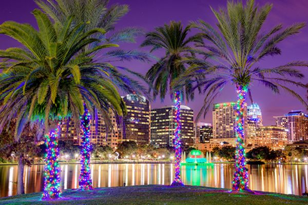 Palm trees wrapped in festive lights with the city of Orlando in the background under a purple sky