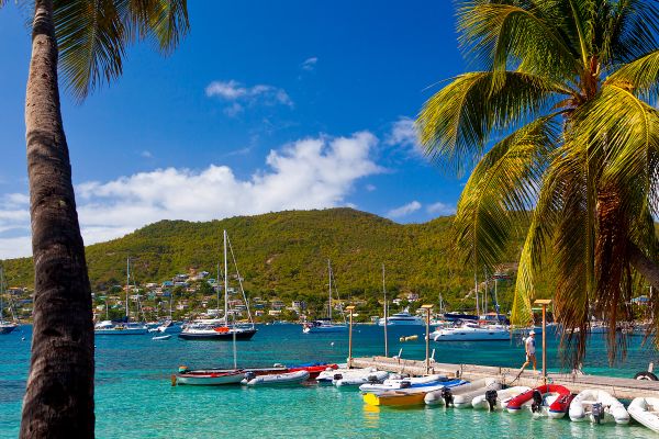 Palm trees at boat marina