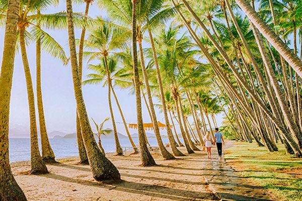 Couple walking along a beach lined with many palm trees