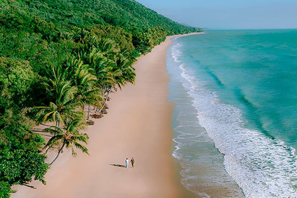 Wide overhead shot of a couple walking hand in hand down a beach with a lush green forest