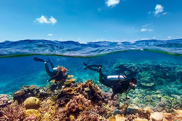 Two people snorkelling