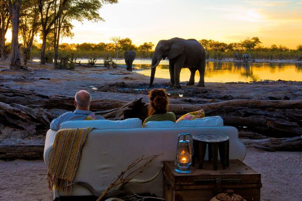 Couple on a couch watching elephants in the wild at sunset