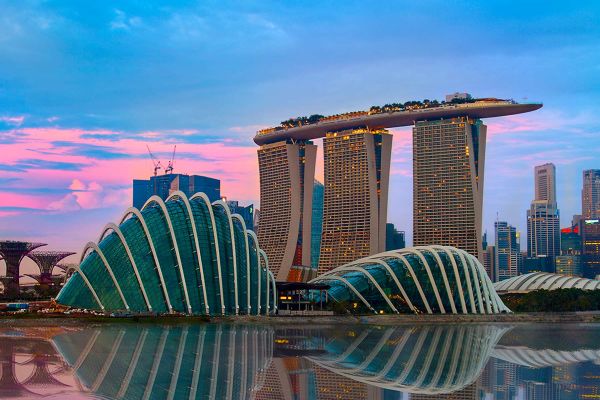 Parent and child standing in a jungle on a concrete path