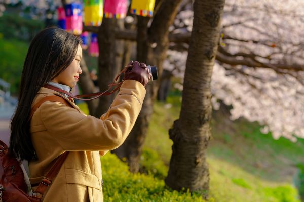 Woman taking a photo in a garden in South korea