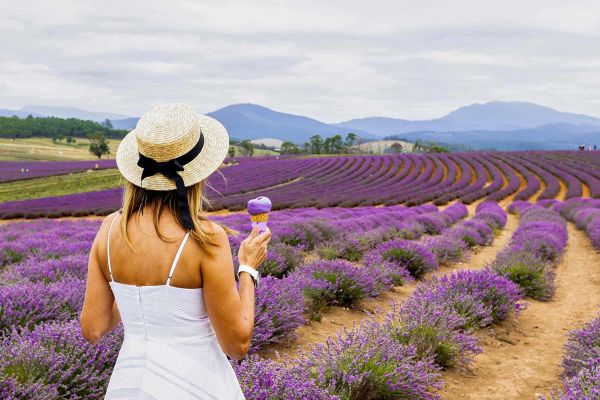 Lady in a lavender farm