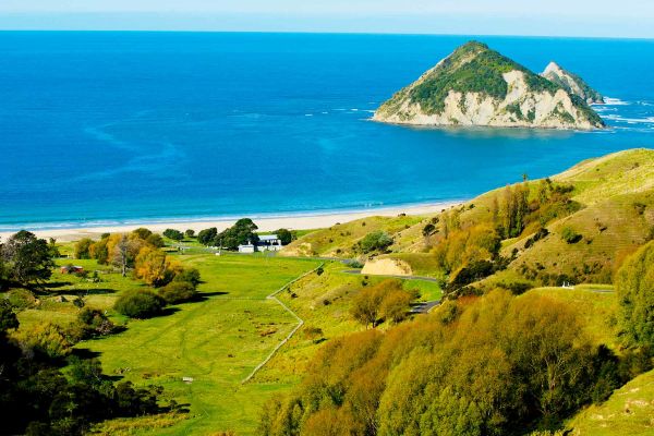 Red tram driving up a steep hill with the town of Wellington in the background