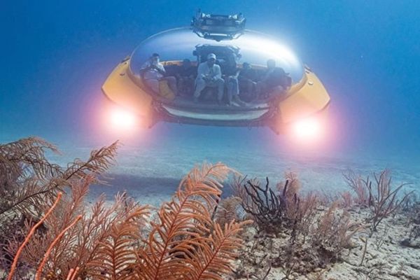 https://static.traveltek.net/cruisepics/local_shipimages_large/1784294138.jpg