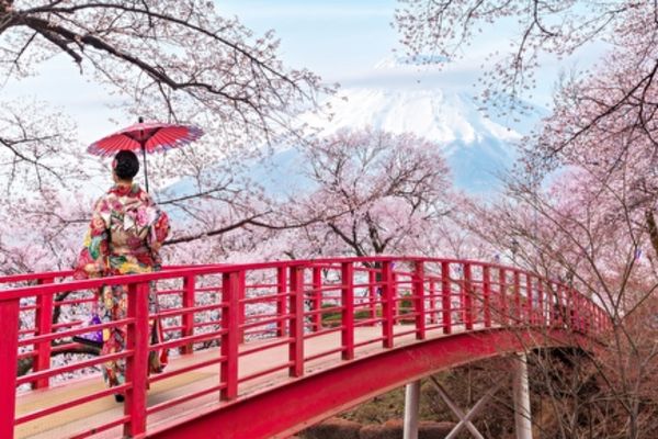 https://static.traveltek.net/cruisepics/local_shipimages_large/1784715003.jpg
