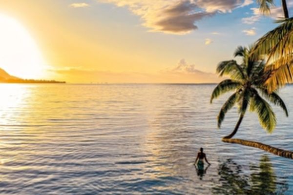 https://static.traveltek.net/cruisepics/local_shipimages_large/1784715666.jpg