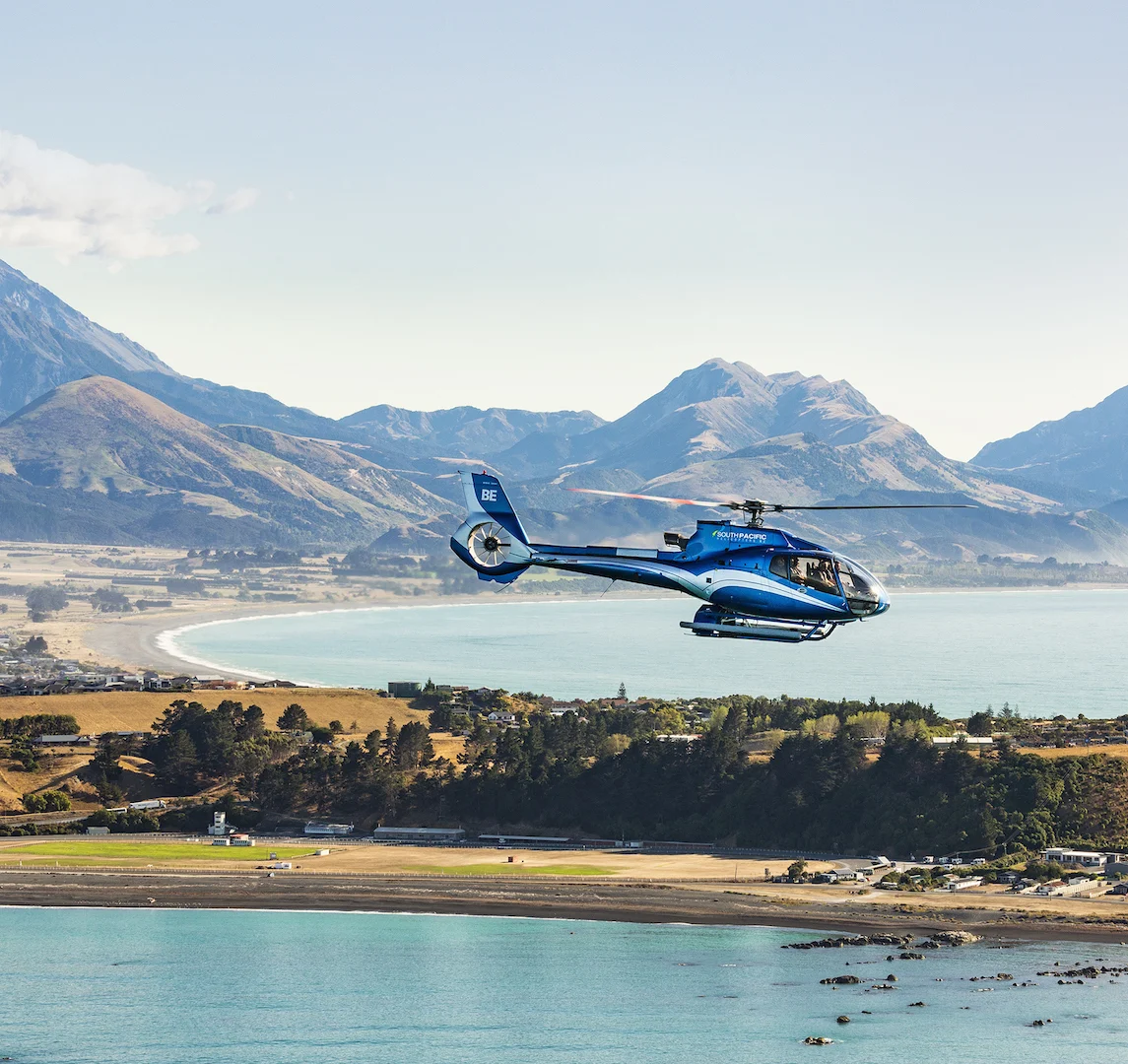 NZ Sig itin Whale Watch Heli Tour