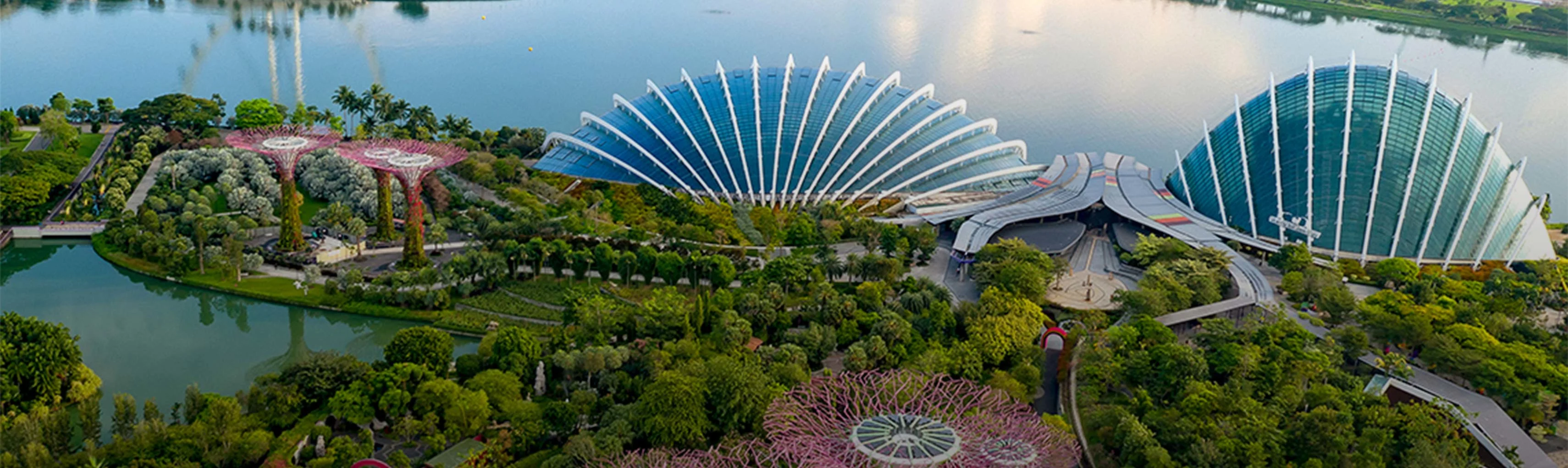 singapore_banner