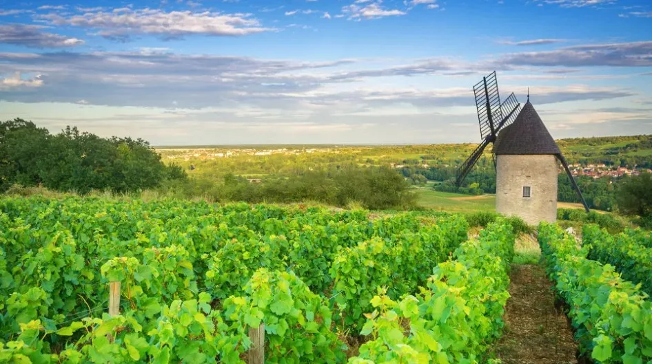 Paris to Nice through Vineyards and Mountains | Back-Roads