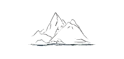 Polar specialists icon