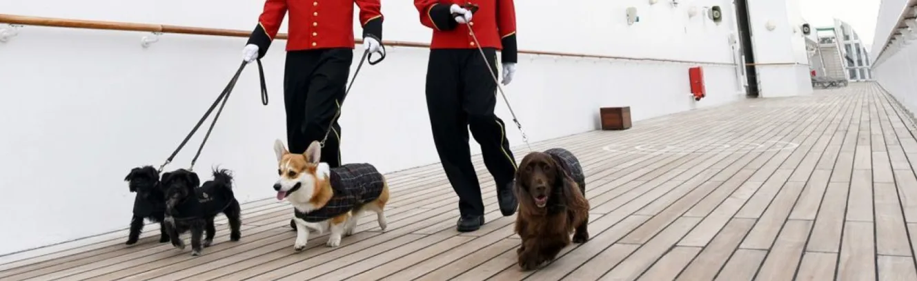 It's a Dog's Life on a Cunard Cruise luxury travel