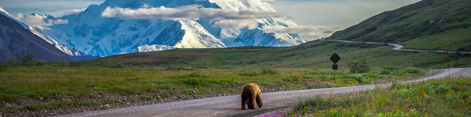 How to tick Alaska's Big 5 off your bucket list luxury travel