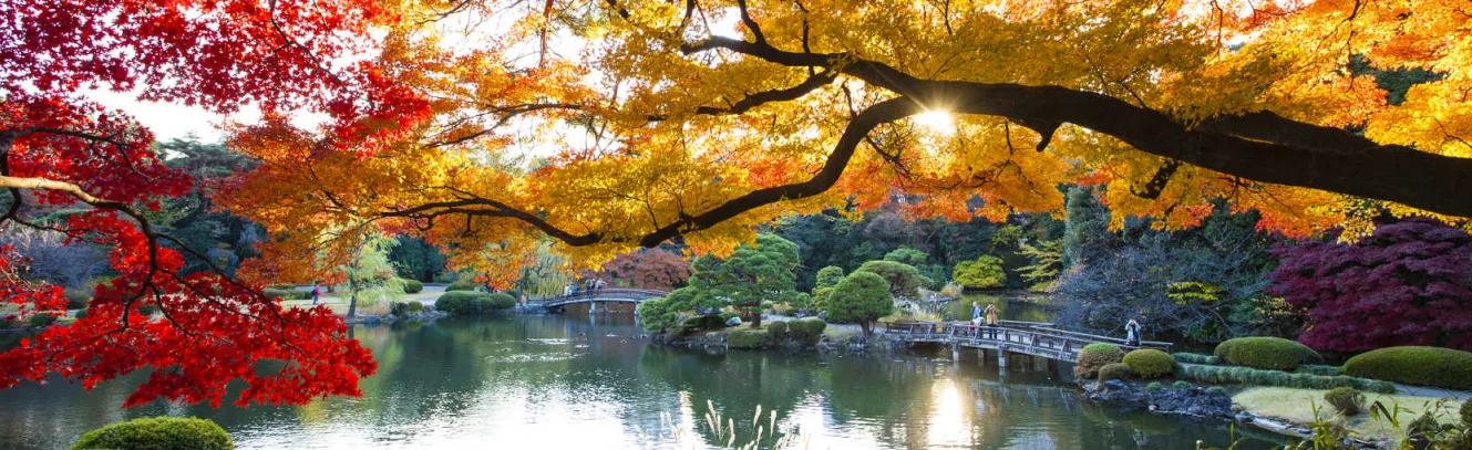 Four Seasons of Beauty in Tokyo luxury travel