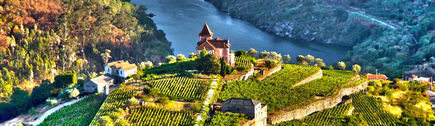 Forget France, Please Your Palate in Portugal And Cruise The Douro luxury travel