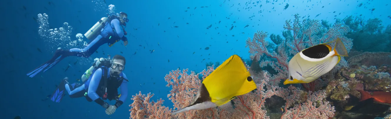 Cruising the Great Barrier Reef on Celebrity Solstice luxury travel
