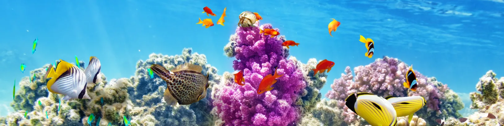 Why you should visit Christmas Island luxury travel
