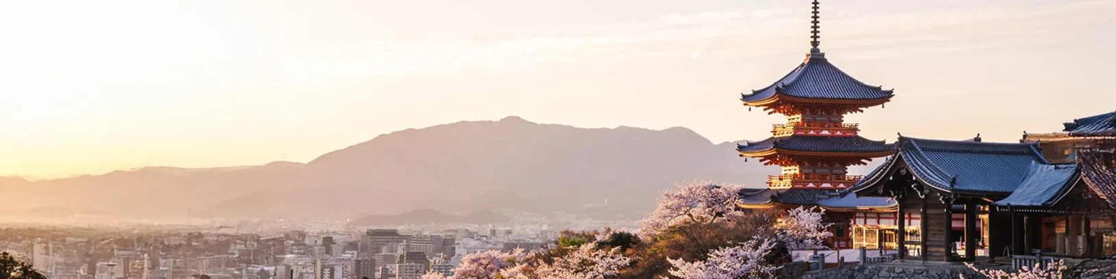 Advisor Story: Temples to Tokyo Lights Banner