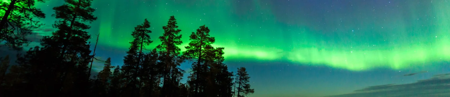 Travelling through northern Finland in winter luxury travel