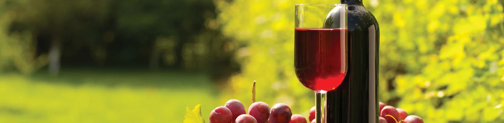 Wining and Dining in Tasmania luxury travel