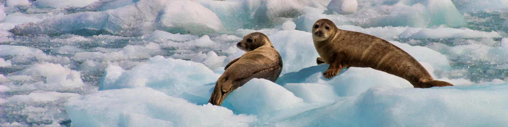 Moments and Memories of the Quintessential North luxury travel