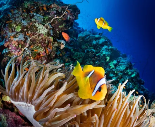 World Heritage Sites to Visit in Australia luxury travel