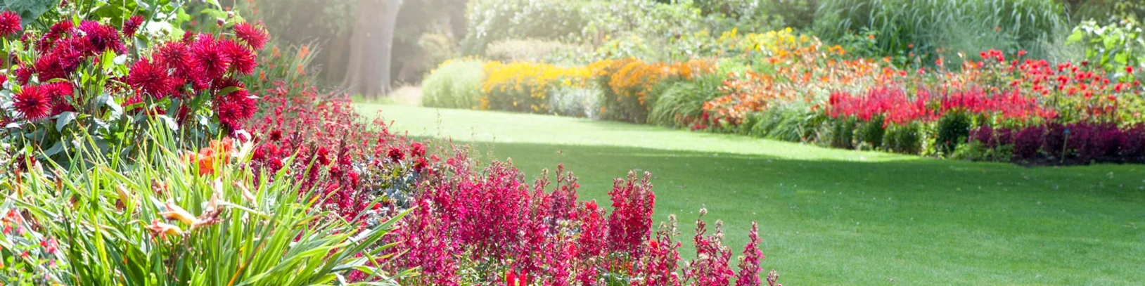 Cunard's new Australian gardening cruise luxury travel